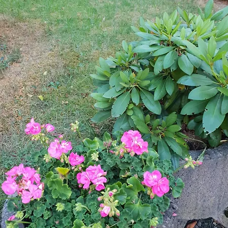 Apartmán Im Harz Bad Harzburg